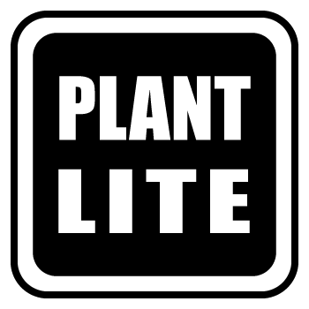 Plant Lite